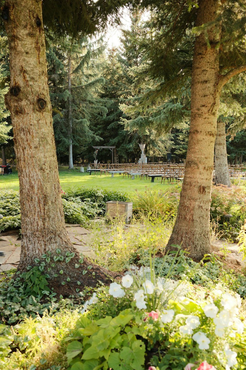 Wooden chairs face an archway on a lawn for an event.